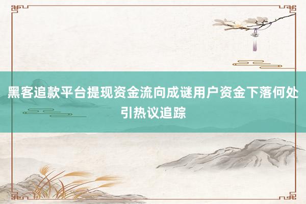 黑客追款平台提现资金流向成谜用户资金下落何处引热议追踪